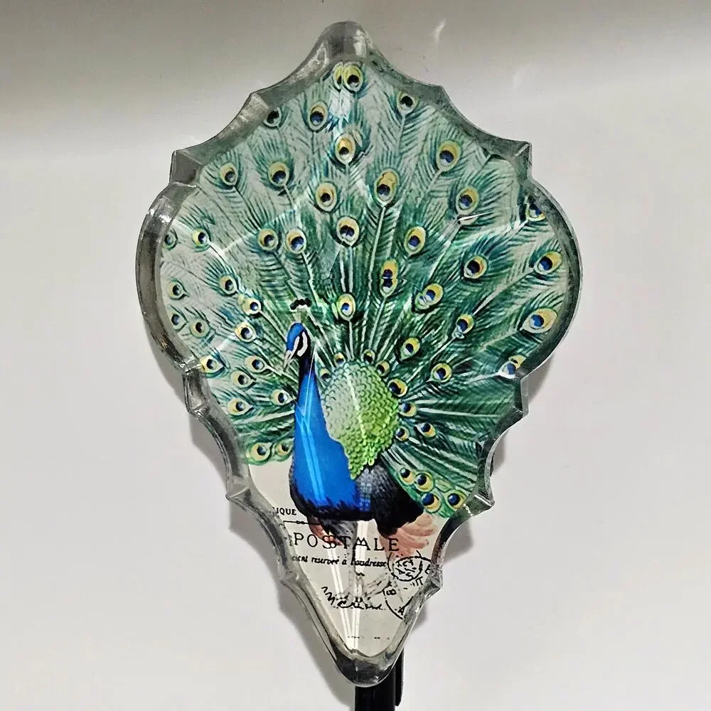 Pier 1 acrylic peacock
